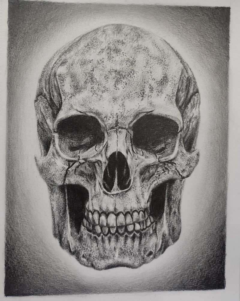 graphite skull drawing, realistic skull art, human skull sketch, graphite pencil artwork, anatomy drawing, skull illustration, realistic pencil drawing, monochrome art, dark aesthetic art, traditional, Human Skull Study in Graphite Pencil